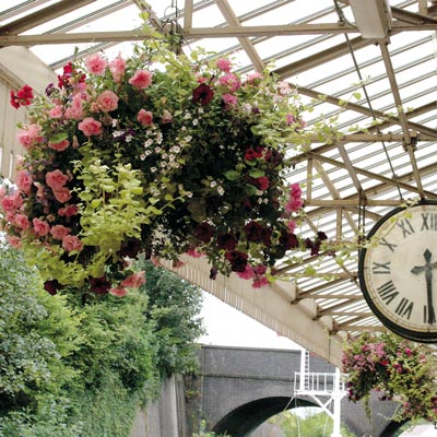 FullBloom Self-Watering Hanging Planters - 3