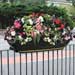 FullBloom™ Self-Watering Rail-Mounted Planters